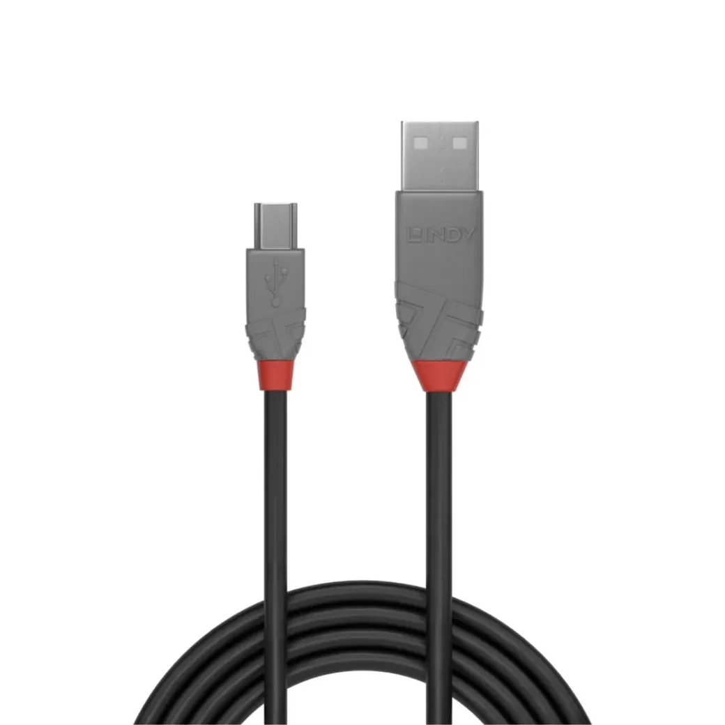 LINDY Câble USB 2.0 type A vers Mini-B - 36722
